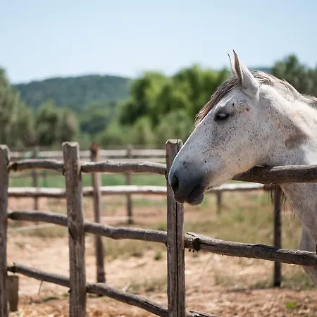 Tenuta Agricola Dell'uccellina Ταλαμόνε