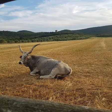 Farm stay Tenuta Agricola Dell'uccellina Talamone