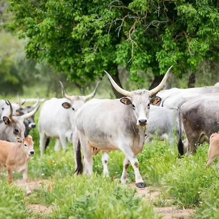 Çiftlik konaklama Tenuta Agricola Dell'uccellina