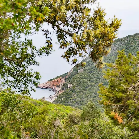 Tenuta Agricola Dell'uccellina Çiftlik konaklama