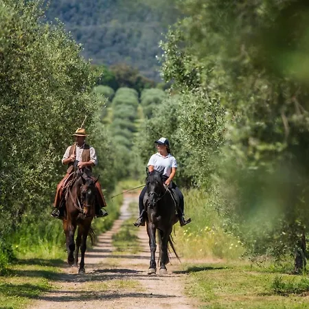 Tenuta Agricola Dell'uccellina Farm stay