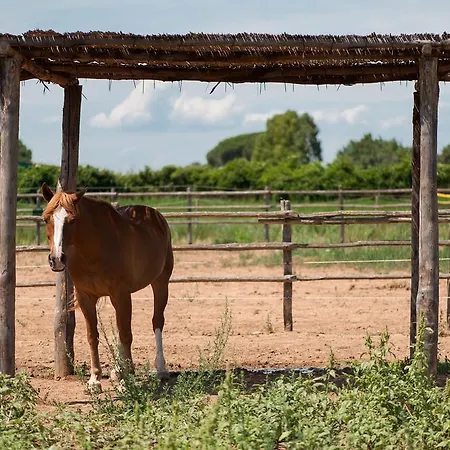Tenuta Agricola Dell'uccellina Talamone
