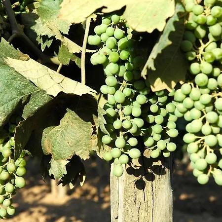 Tenuta Agricola Dell'uccellina Farm stay
